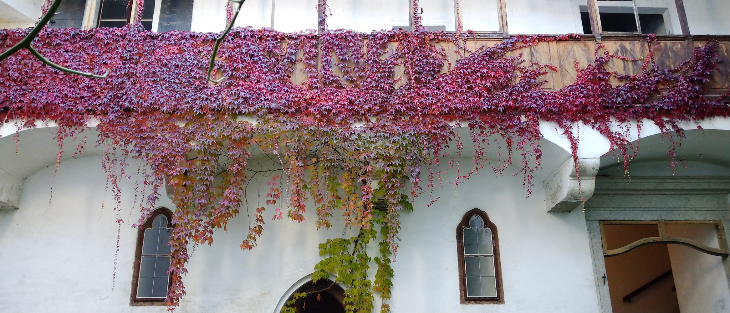 Tage der Kunst 2026 – Kunst trifft Geschichte